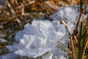 Duisitzkarsee 14330 2011-11-30.jpg