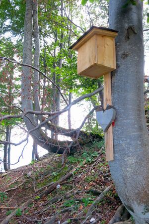 Grimmingtor Wegpunkt Liedaegg mit Steigbuch.jpg