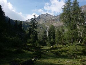 Im herzmeierkar 15402 2005-07-14.jpg