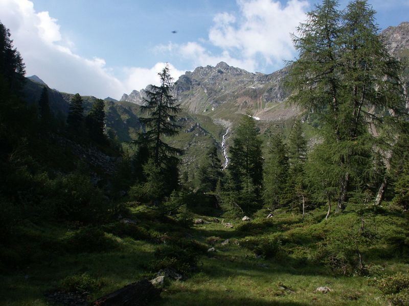 Datei:Im herzmeierkar 15402 2005-07-14.jpg