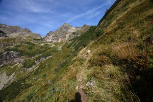 Lassachalm (Alm) 02530 2015-08-28.jpg