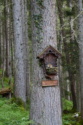 MA 14 kirchweg-0445-2023-06-09.jpg