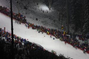 Nightrace 2014 39759 2014-01-28.jpg