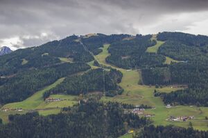 P Anthropogen PlanaiSki 04.jpg