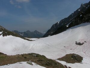 Preuneggsattel 47704 2006-06-15.jpg