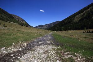 Sattental 45890 2017-05-19.jpg