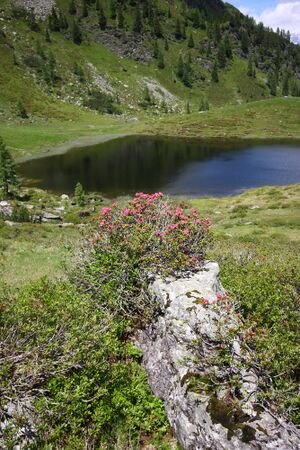 Schobersee 93169 2015-06-26.jpg