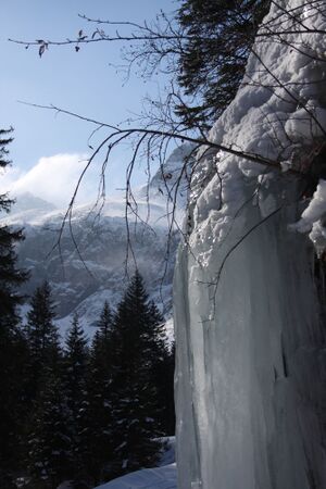 Steinriesental 0216 2011-03-02.jpg
