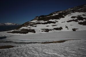 Augstsee loser 50328 2017-06-11.jpg