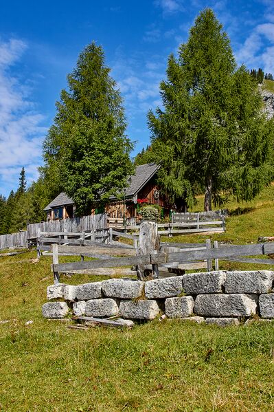 Datei:Bärenfeichtenalm-3119-2021-08-03.jpg