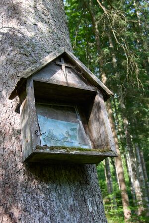 BST Breitauweg kupferbauer-0208-2025-06-18.jpg