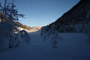 Bodensee 26523 2014-01-01.jpg