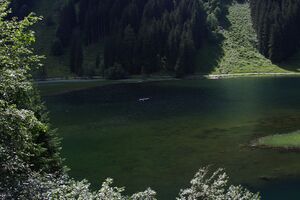 Bodensee seewigtal 63533 2014-06-21.jpg