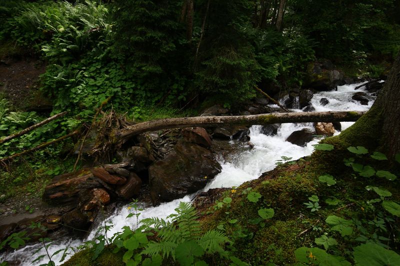 Datei:Dürrenbach haus 28030 2016-06-26.jpg