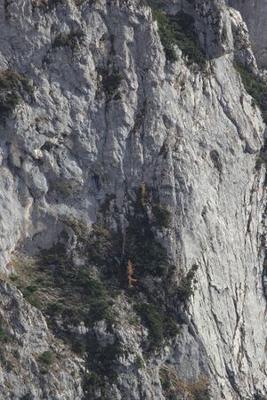 Gamsstelle loser trisselwand-4102-2018-11-04.jpg