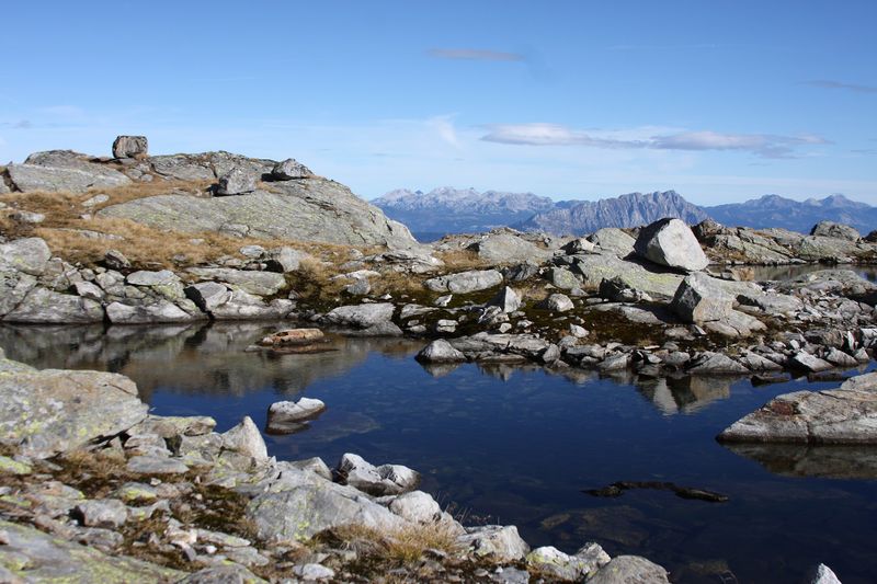 Datei:Goldlacken 0402 2013-10-08.jpg