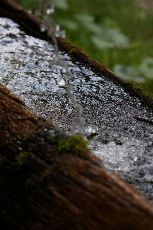 Gradenbach 2350 2011-05-26.jpg