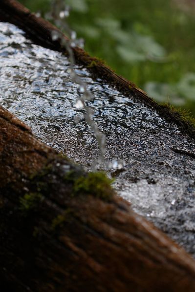 Datei:Gradenbach 2350 2011-05-26.jpg