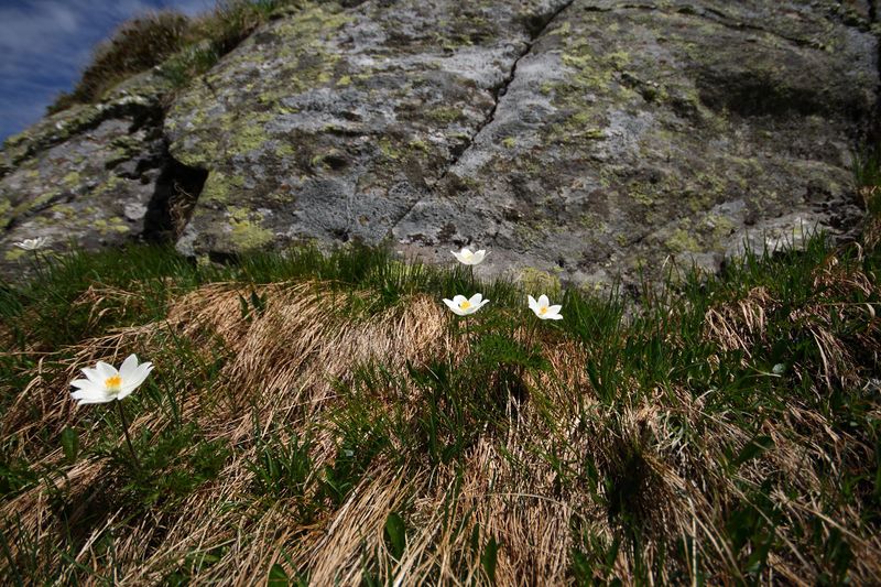 Datei:Im Hüttkar 39586 2012-06-29.jpg