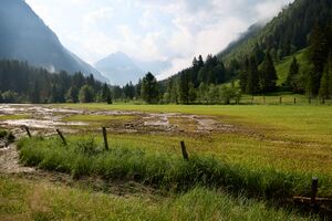 Mure Untertal-033-2026-06-30.jpg