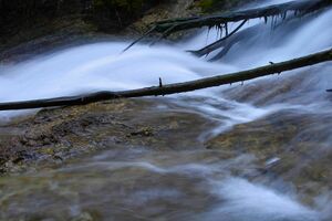 Rössingbach 1848 13-07-21.jpg