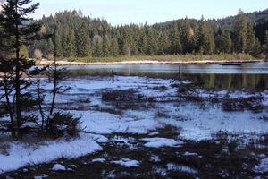 Spechtensee 62902 2017-10-31.jpg