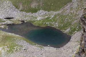 Talkenkarlsee -graunock 56031 2017-08-22.jpg