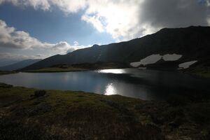 Untere riednersee 65342 2014-06-26.jpg