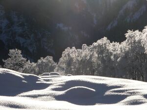 Untertal 5864 2006-01-16.jpg