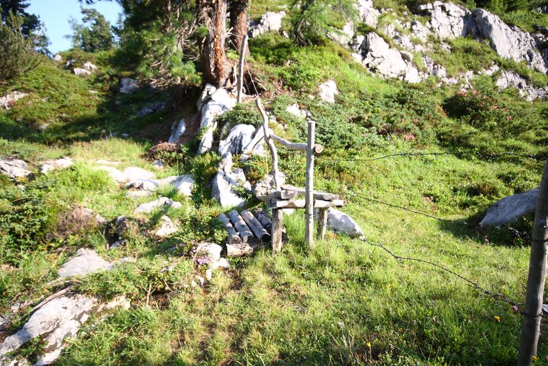 Datei:Z´sammtreibboden-kemetgebirge 97061 2015-07-16.jpg