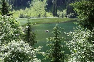 Bodensee seewigtal 63525 2014-06-21.jpg