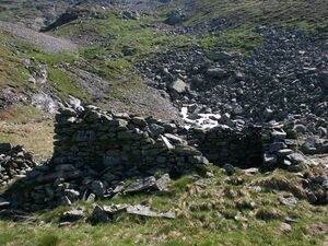 Grubachkar 3631 2005-07-04.JPG