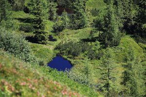 Gumpenkar 53197 2017-07-05.jpg