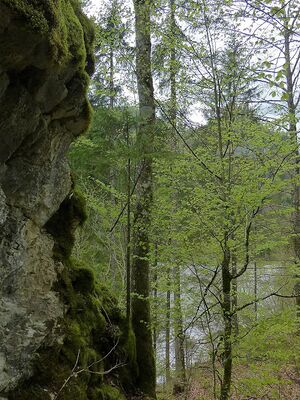 Humlechnergraben 54665 2014-04-27.JPG