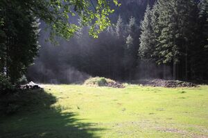 Kleinsölker Untertal 54337 2017-07-21.jpg