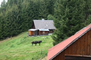Krahbergeralm 02327 2015-09-10.jpg