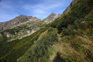 Lassachalm (Alm) 02528 2015-08-28.jpg