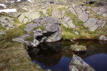 Mitt-südsee-sabinkar 34164 2015-06-08.jpg