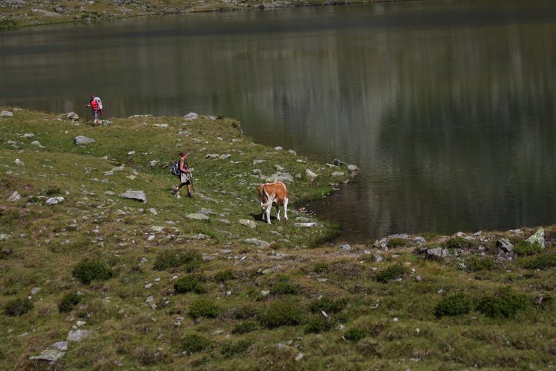 Datei:Oberer lanschitzsee 98088 2011-08-12.jpg