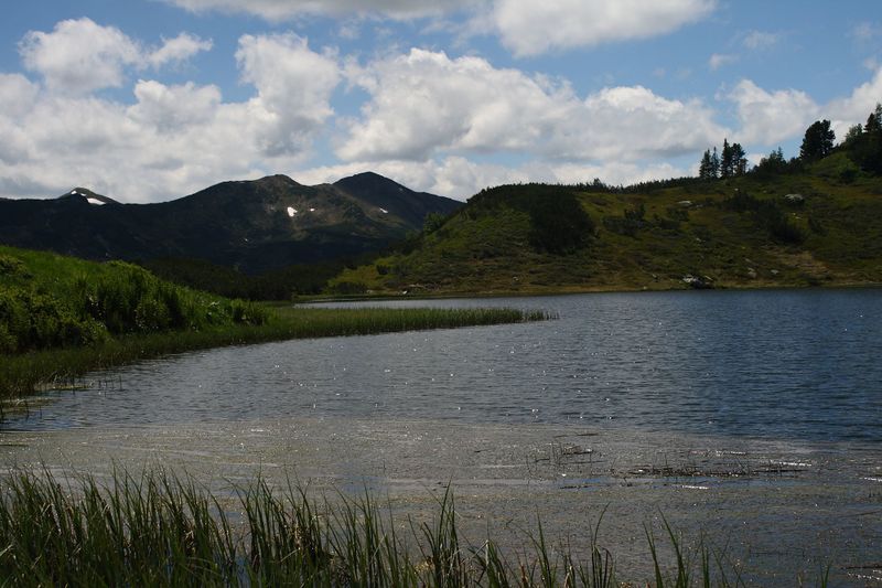 Datei:Plannersee 65313 2014-06-26.jpg