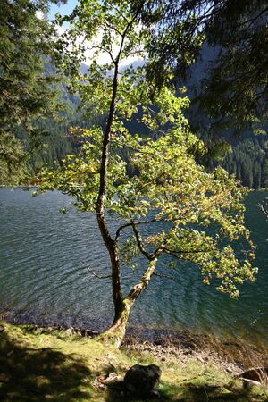 Schwarzensee kleinsölk 72574 2014-09-17.jpg