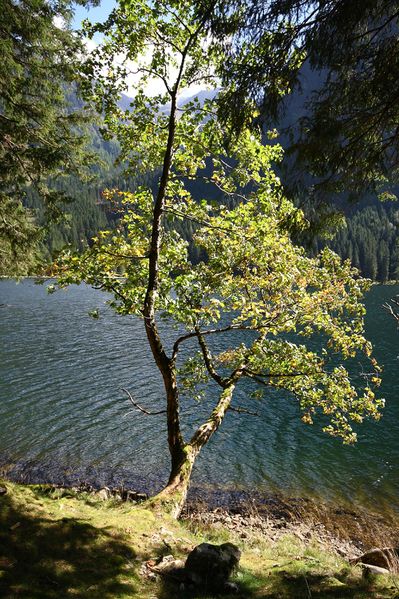 Datei:Schwarzensee kleinsölk 72574 2014-09-17.jpg