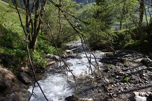 Strickerbach 55507 2014-05-02.jpg