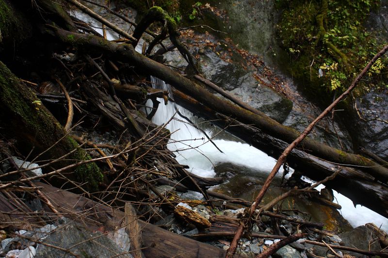 Datei:Teufelsschlucht Seewigtal 73395 2014-10-02.jpg
