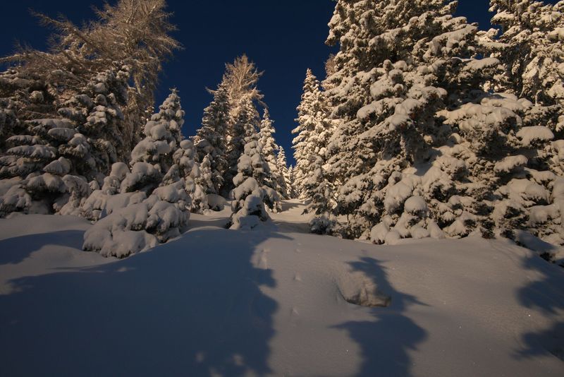 Datei:Zur ob.moseralm-preunegg 94326 2007-11-28.jpg