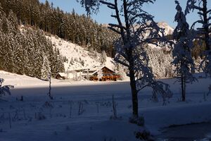 Bodensee 26608 2014-01-01.jpg