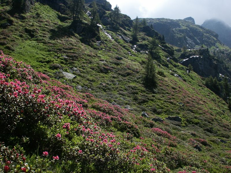 Datei:Eiskar 3613 2005-07-04.JPG