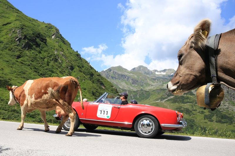 Datei:Ennstal Classic 2013 04.jpg