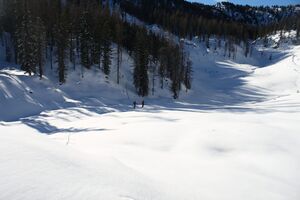 Große wiesmahd 97971 2015-01-13.jpg