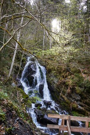 Köberlgrabenbach-donnersbachklamm-IMG 1868.jpg